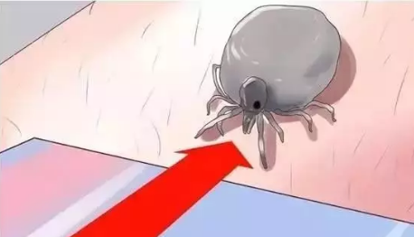 微信截图_20170907092743.png