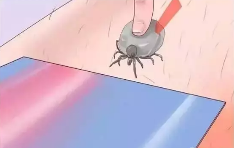 微信截图_20170907092805.png