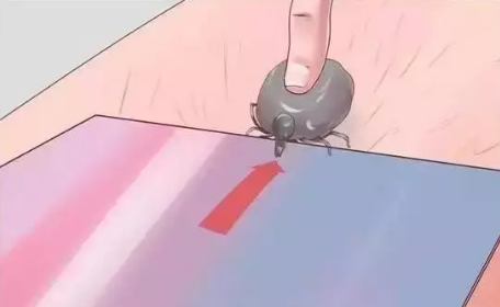 微信截图_20170907092827.png
