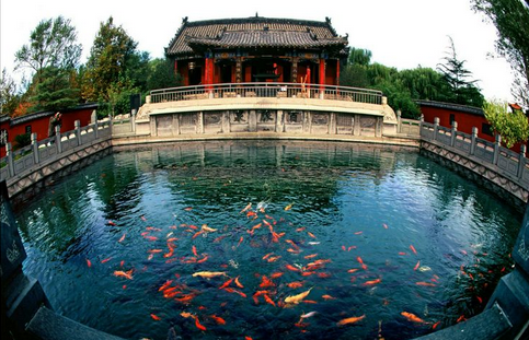 微信截图_20170913105515.png