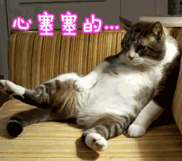 1.gif
