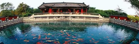 微信截图_20170922085121.png