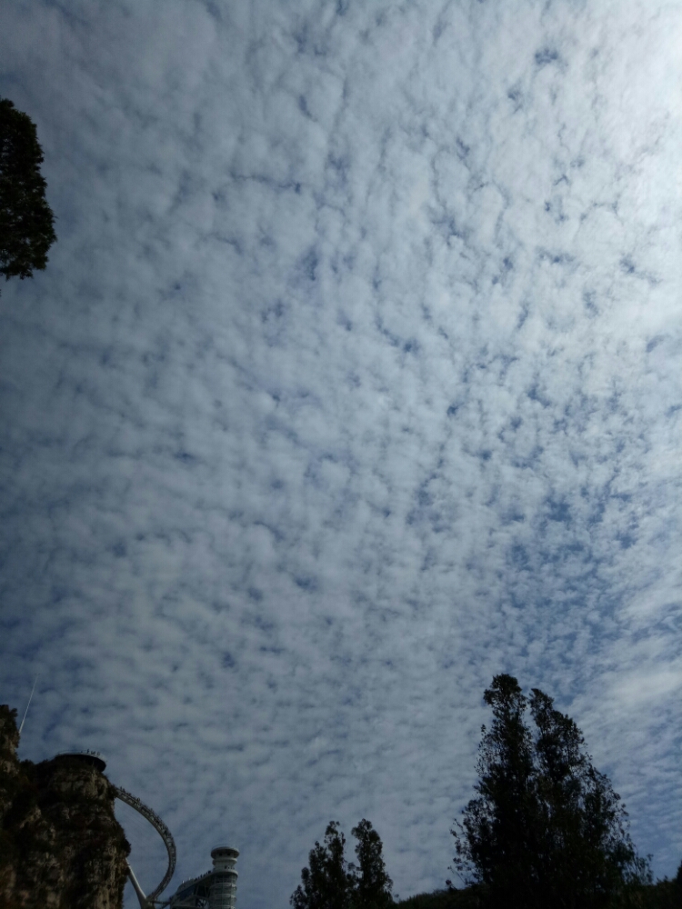 20171016_2471_1508112694860.jpg