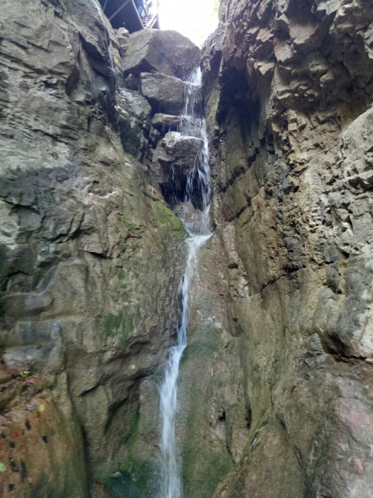 20171016_2471_1508112695965.jpg