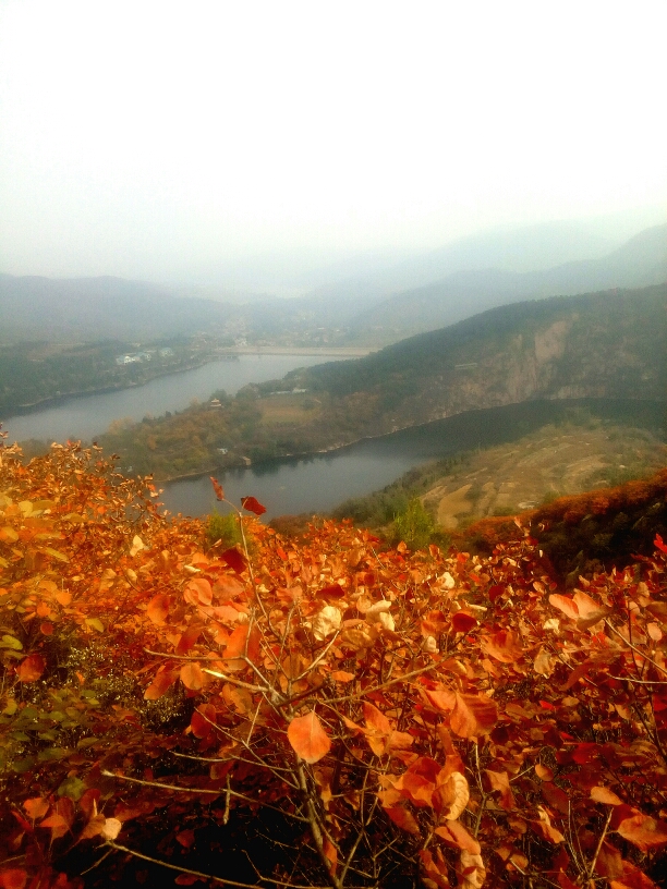 20171020_2130_1508490256024.jpg