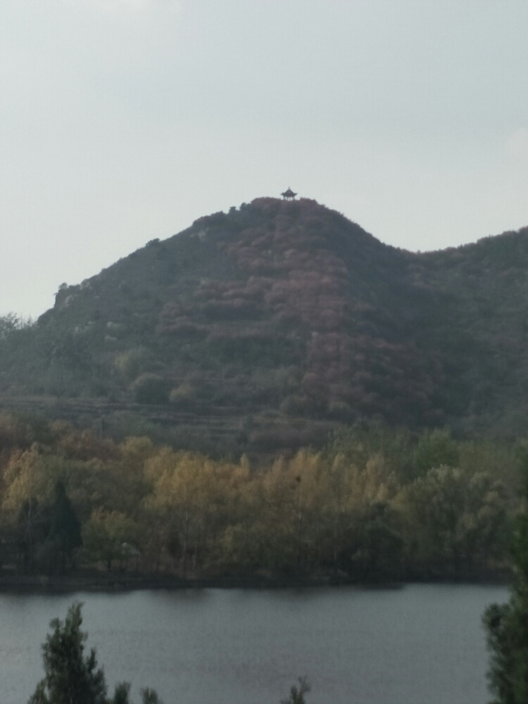 20171022_1482_1508658277850.jpg