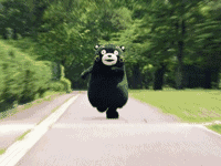 14.gif