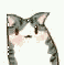11.gif