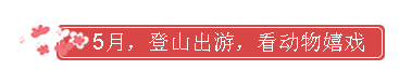 15.png