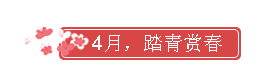 12.png