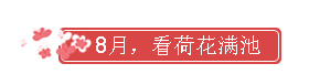 24.png