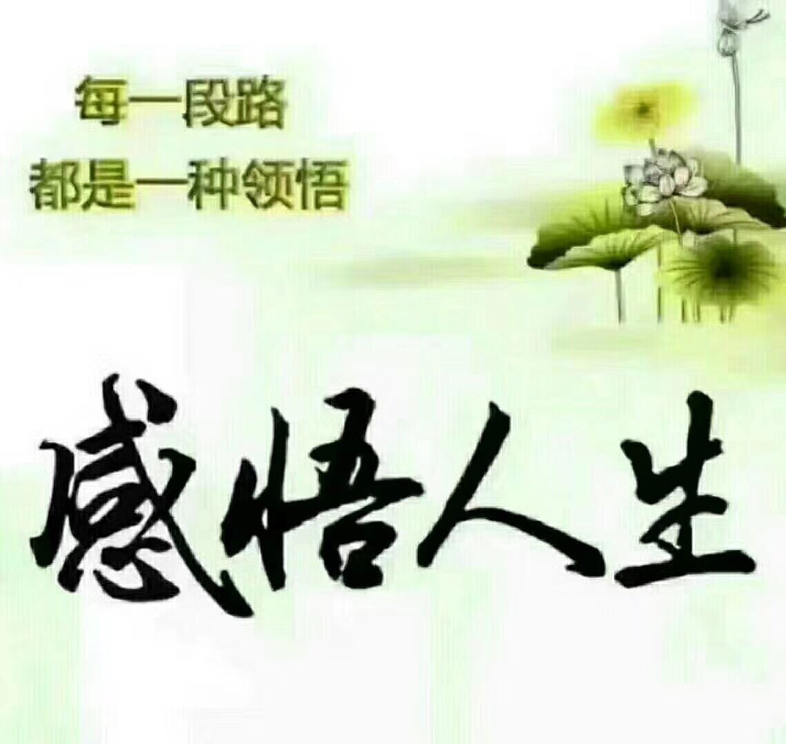 2018011111901515664731057433.jpg