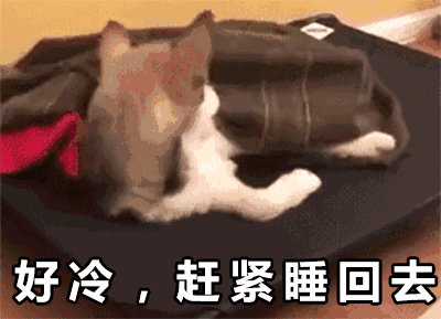 12.gif