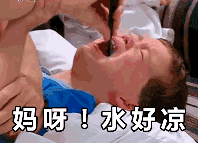 13.gif