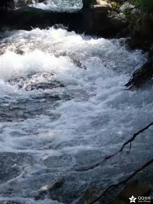 20180202_30228_1517583787024.jpg