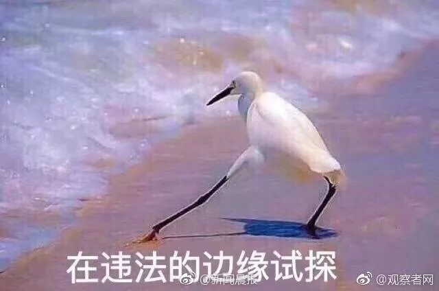 8.webp.jpg