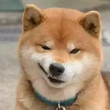 20180304_20694_1520175301399.jpg