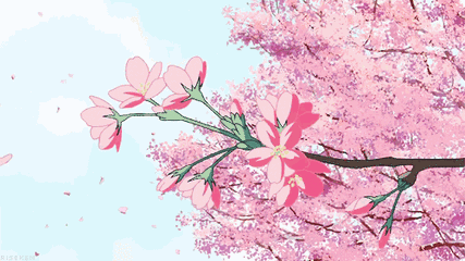 1.gif