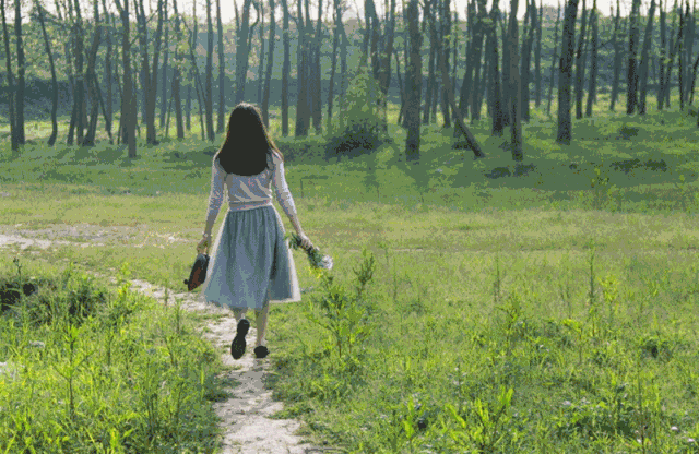 2.gif