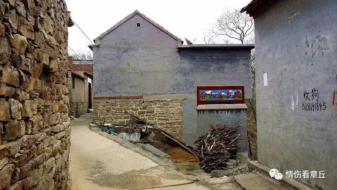 37.jpg