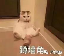 微信图片_20180419141157.jpg