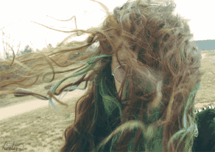 4.gif