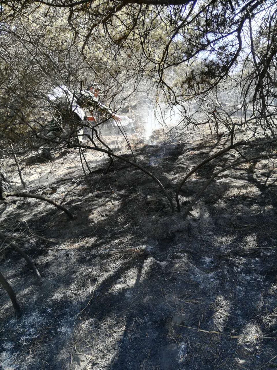 2018050114731525128569987454.jpg