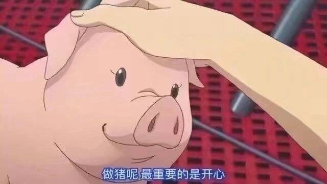 20180505650131525519747308794.jpg