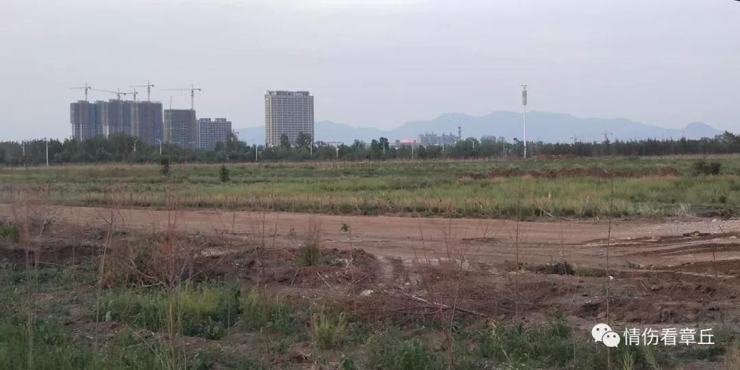 444.jpg