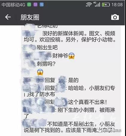 微信图片_20180517160802.jpg