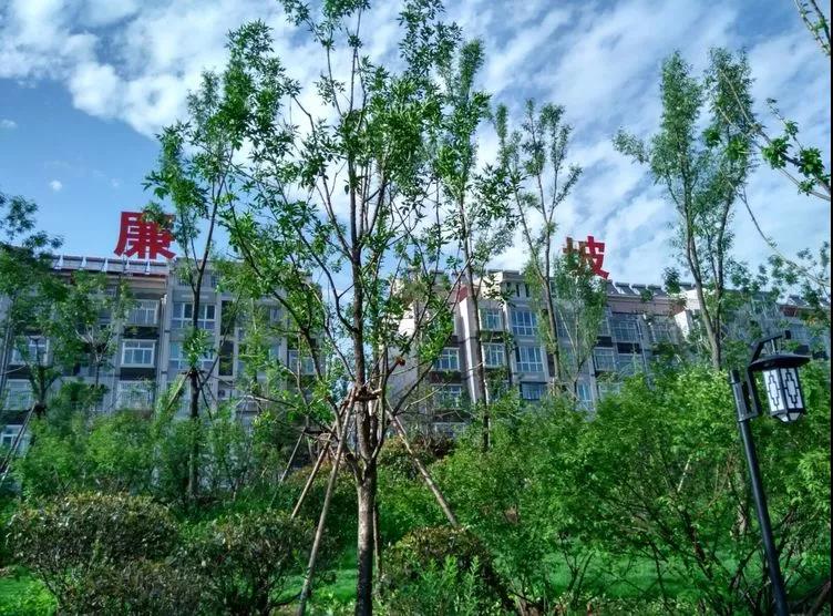 微信图片_20180524160240.jpg