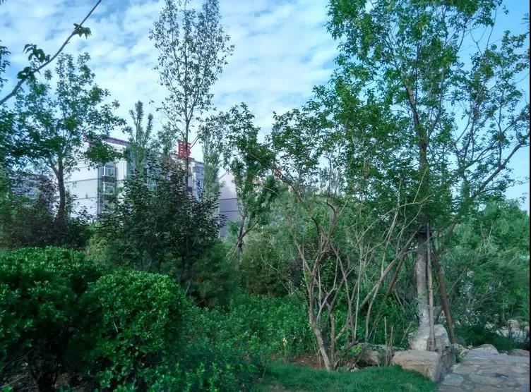 微信图片_20180524160249.jpg