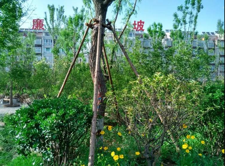 微信图片_20180524160312.jpg