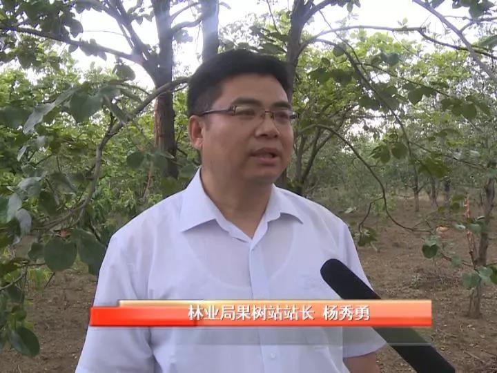 微信图片_20180525162656.jpg