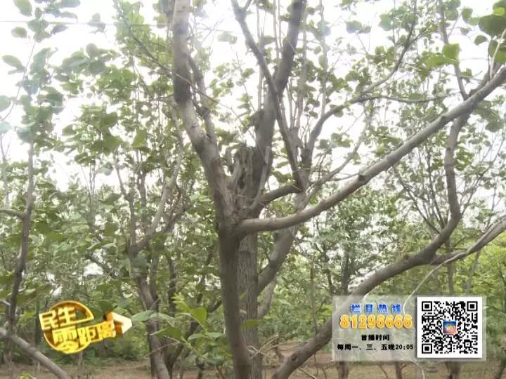 微信图片_20180525162653.jpg