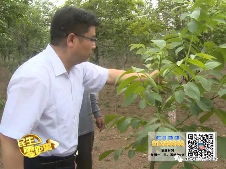 微信图片_20180525162658.jpg