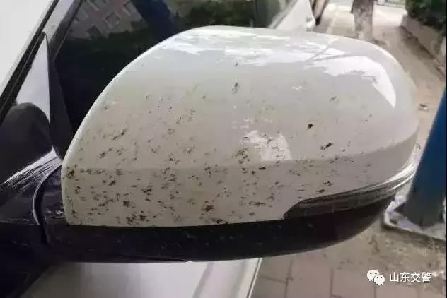 微信图片_20180528154515.jpg