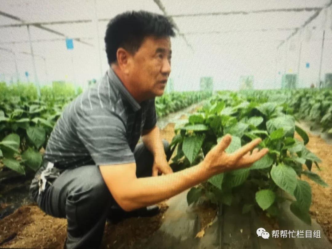 微信图片_20180528170643.jpg