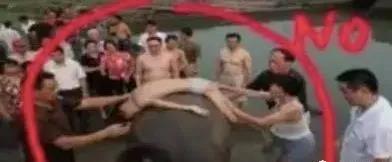微信图片_20180530165516.jpg