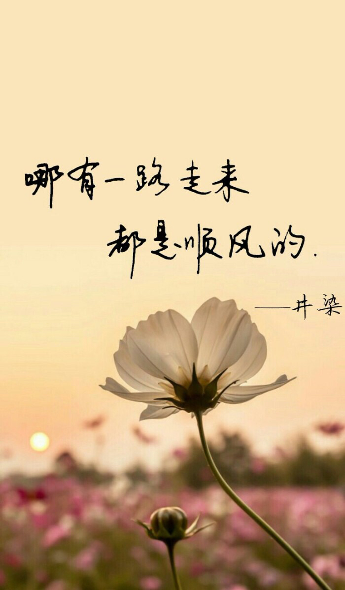 201806039191528022956586677.jpg