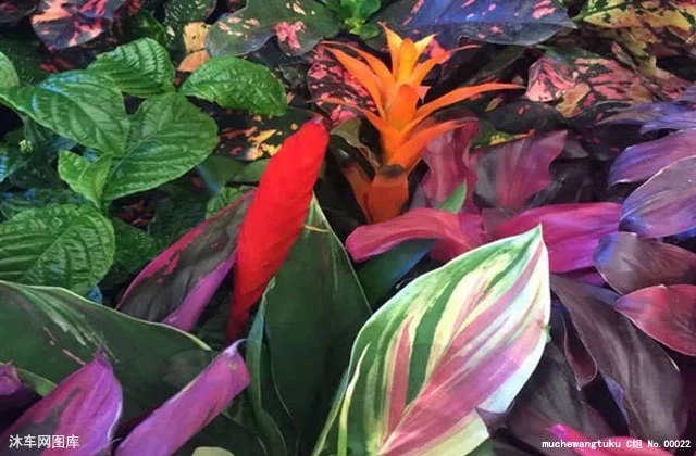 20180606_50615_1528249501868.jpg