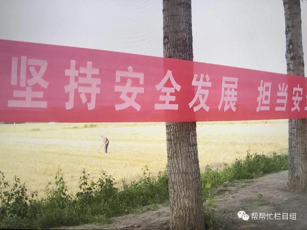 微信图片_20180606112955.jpg