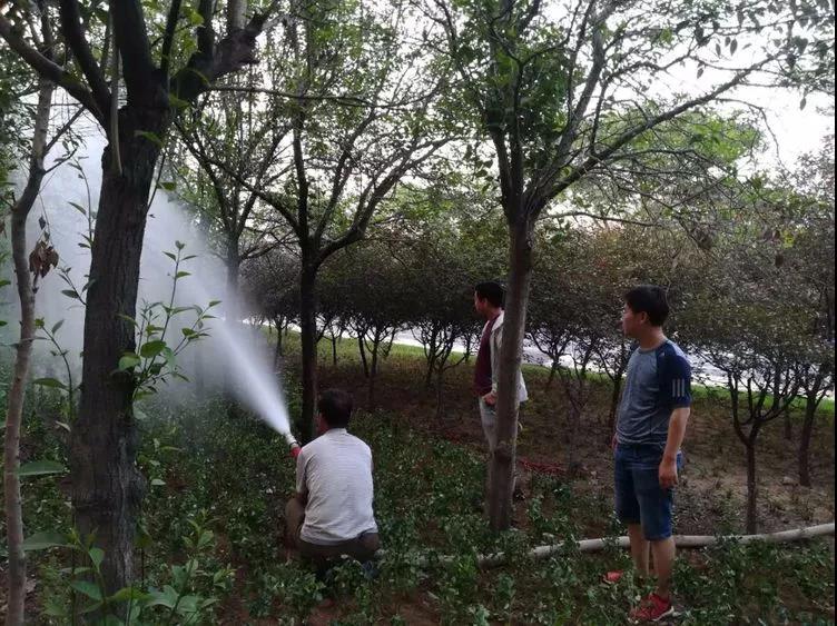 微信图片_20180607095257.jpg