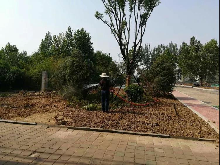 微信图片_20180607095329.jpg