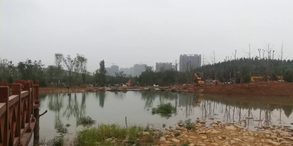 东山湿地1.png
