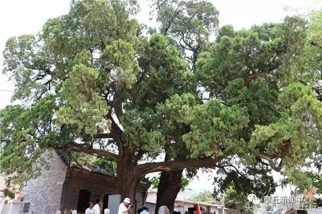 微信图片_20180614113546.jpg