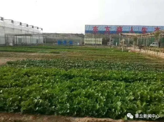 QQ截图20180614112445.png