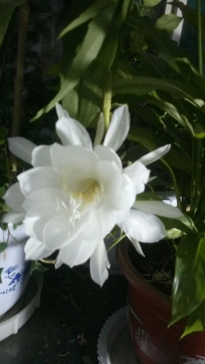 20180615_33766_1528996772946.jpg