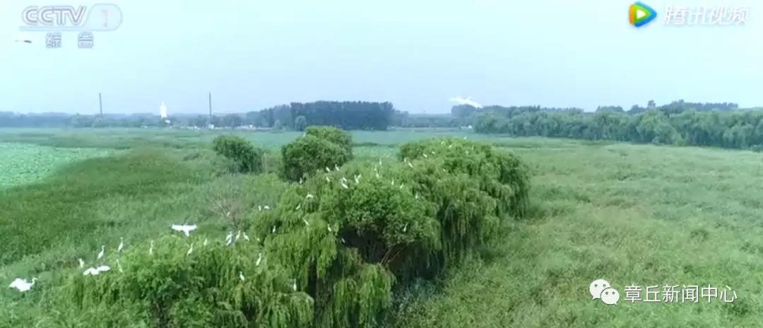 微信图片_20180616165431.jpg
