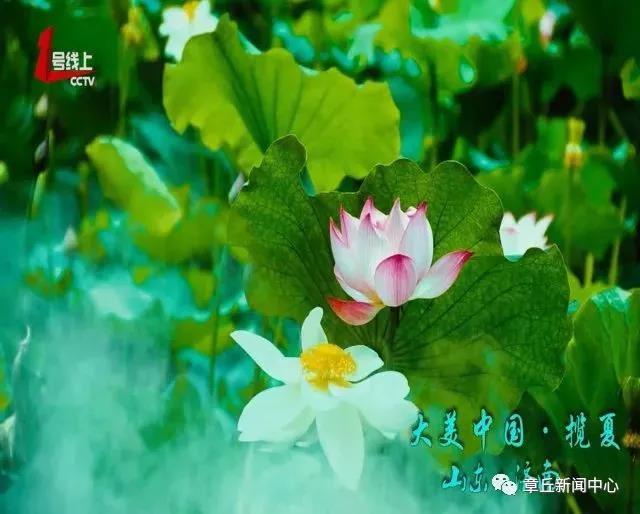 微信图片_20180616165435.jpg